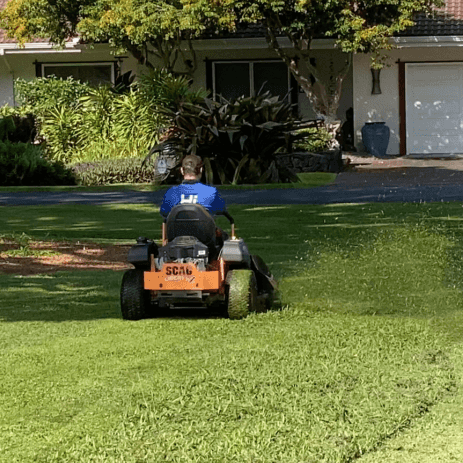 Hawaii  Landscaping