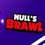 Null Brawl