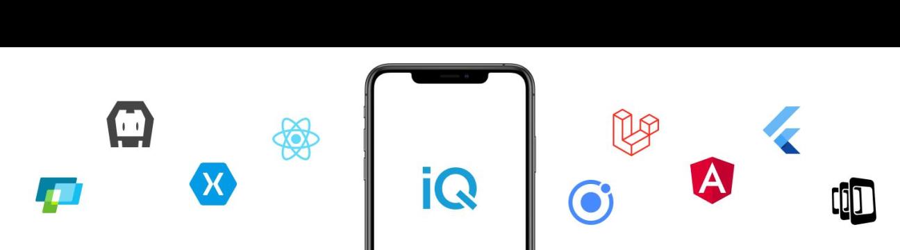IQlance Solutions