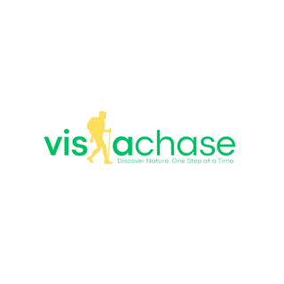 Vista  Chase