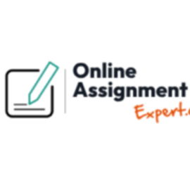 Online Assignment Expert