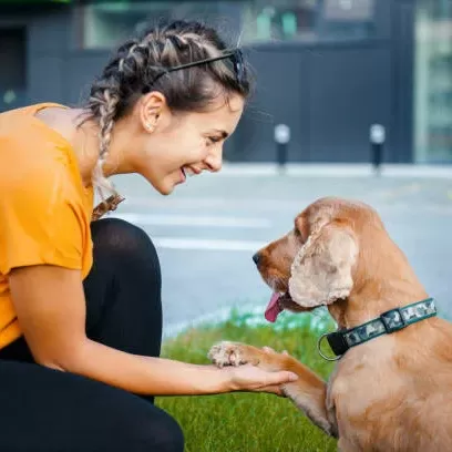 LaPet India Pet Shop In Lucknow