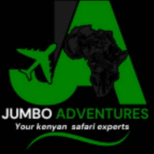 Jumbo  Adventures