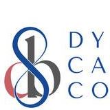 Dynamic Catalyst Consultants