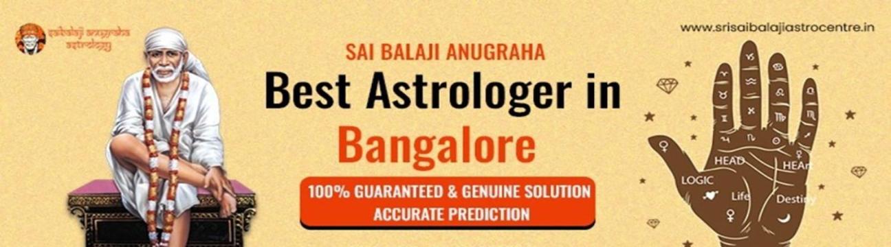 Srisaibalaji  Astrocentre