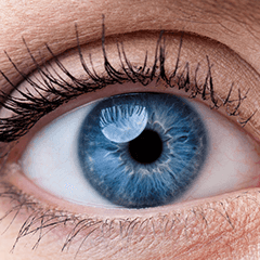 Dr Ghosh Clinic