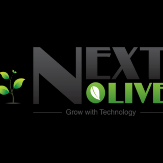 Next  Olive