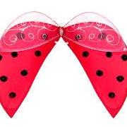 Lady  Bug Wings