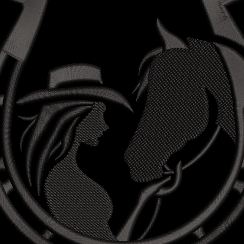 Embroidery Digitizing