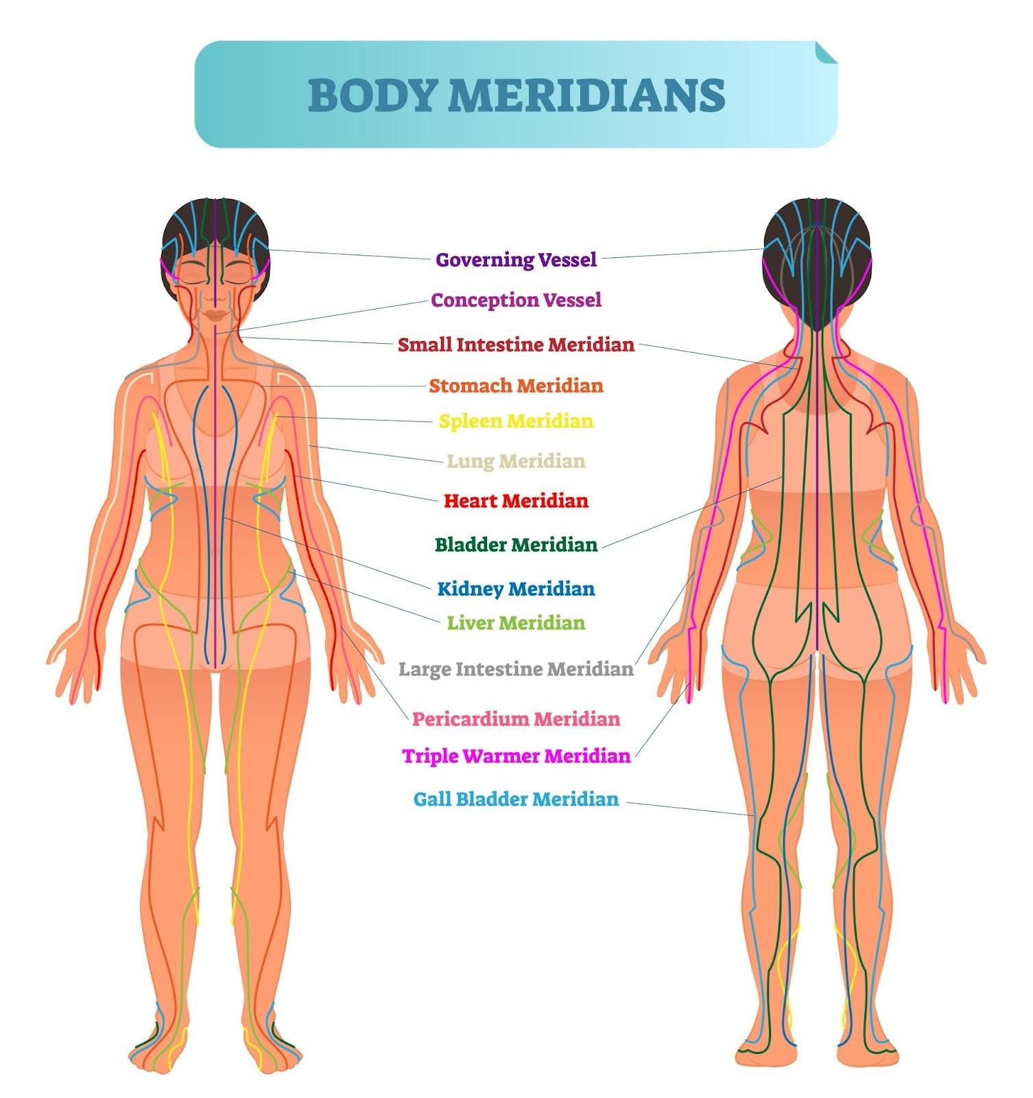 Image of the human body showing major acupuncture meridians