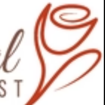Everpetal  Florist