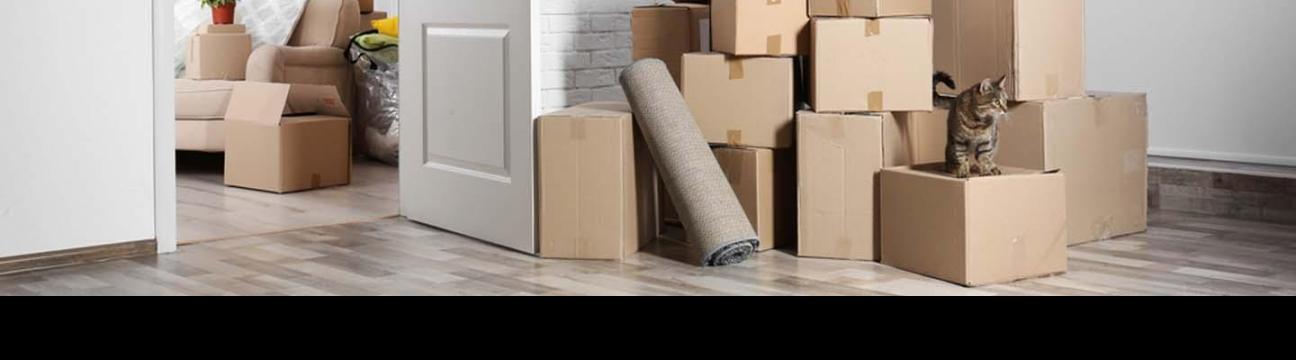 Movers And Packers In Dubai